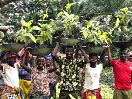 AVDP SUPPORTS FARMERS TO INCREASE COCOA PRODUCTION