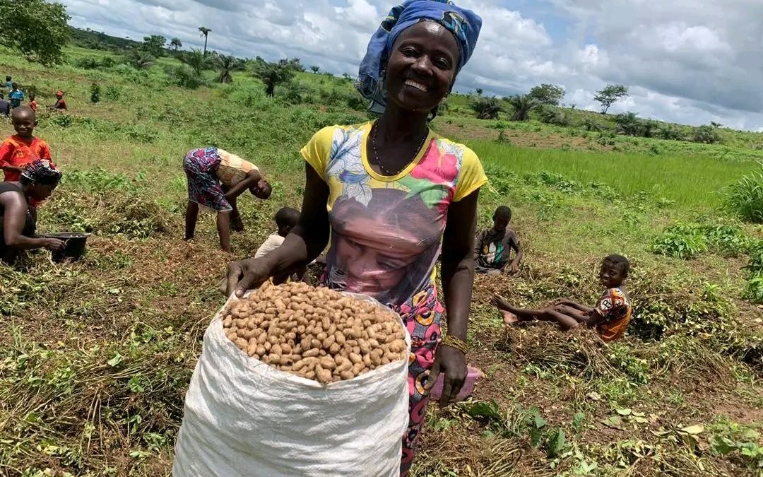 Ground Nut Production Generates Income for Women