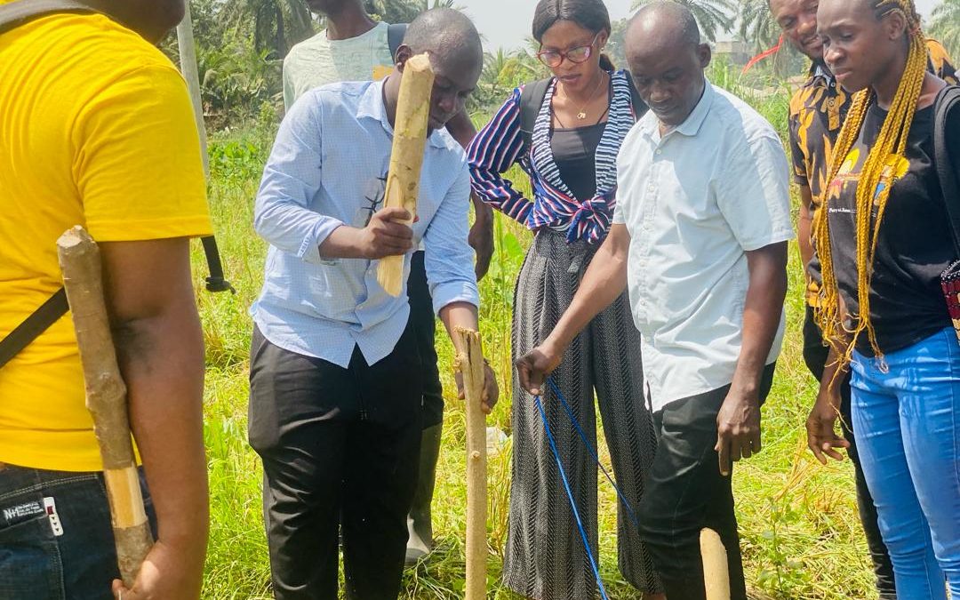 Enhancing Local Rice Production, AVDP Employs 44 Young People.