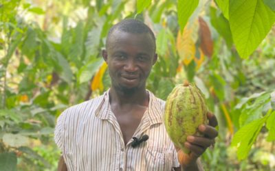 Sierra Leone Farmers Thrive with Hybrid Mercedes Cocoa: AVDP Project Sparks Growth and Gratitude