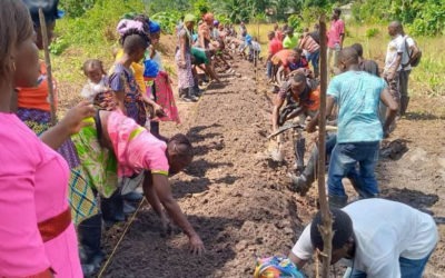 AVDP Puts Women and Youths at the Pinnacle of Rice Production Amidst the Feed Salone Drive