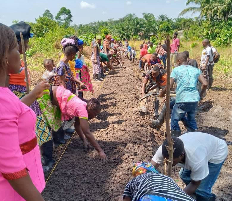 AVDP Puts Women and Youths at the Pinnacle of Rice Production Amidst the Feed Salone Drive