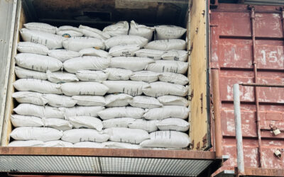 Supporting the Feed Salone initiative to enhance agricultural productivity