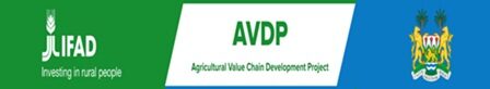 avdp.org.sl